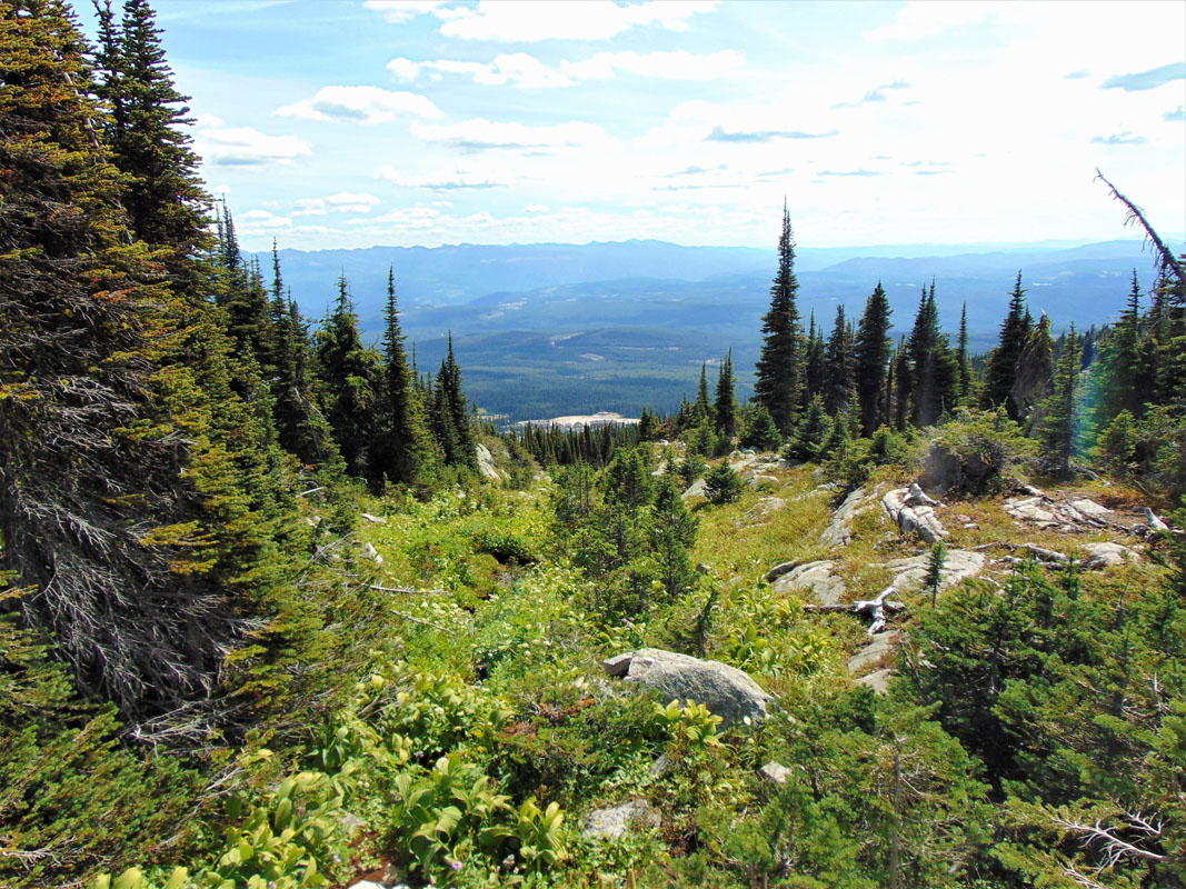 Monashee Mountains