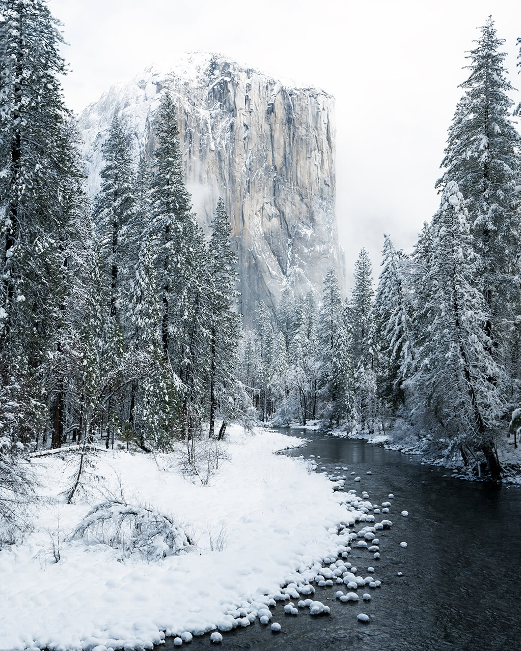Yosemite Snow